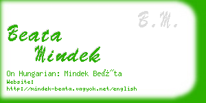 beata mindek business card